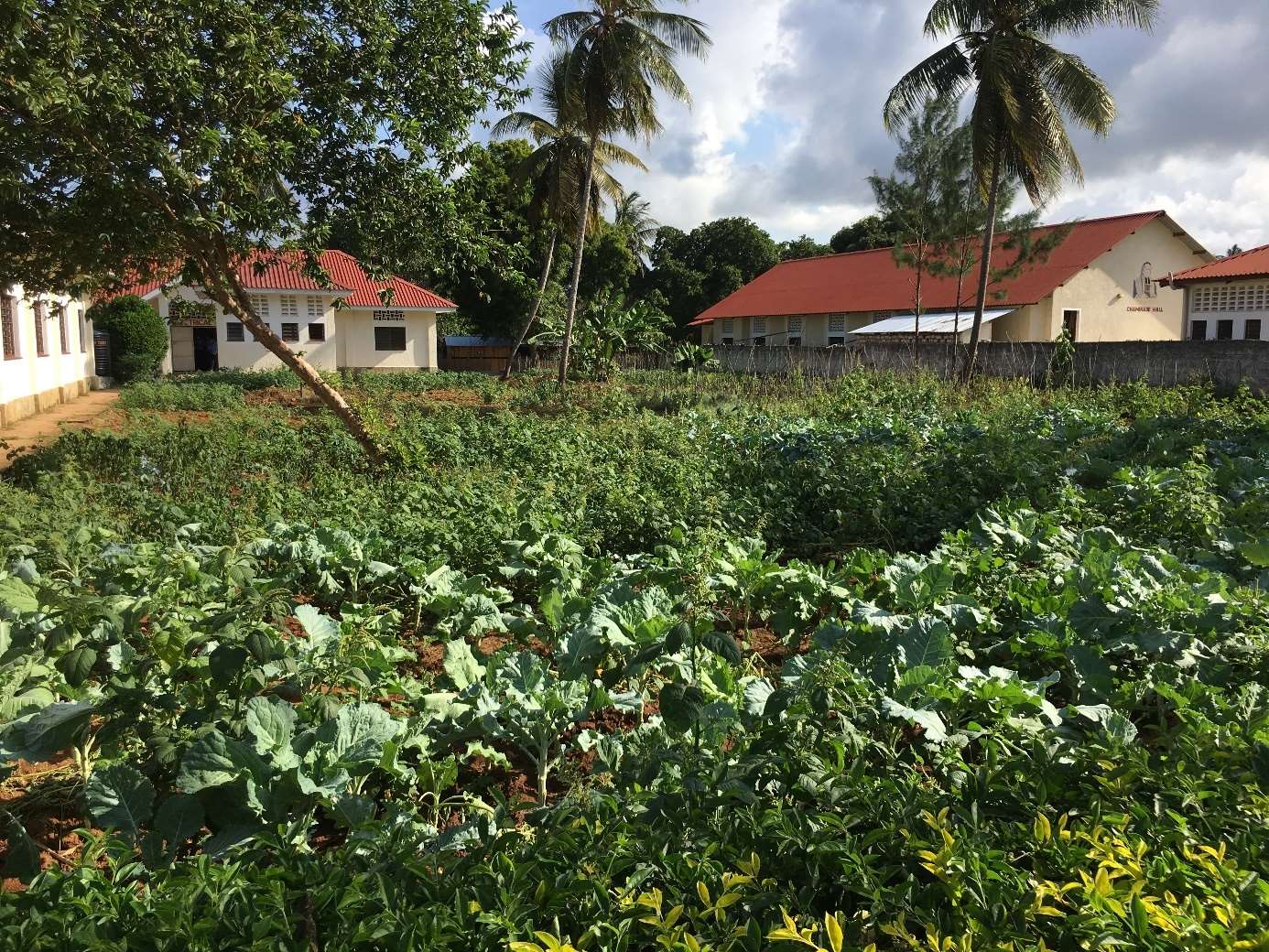 Marianist Technical Institut